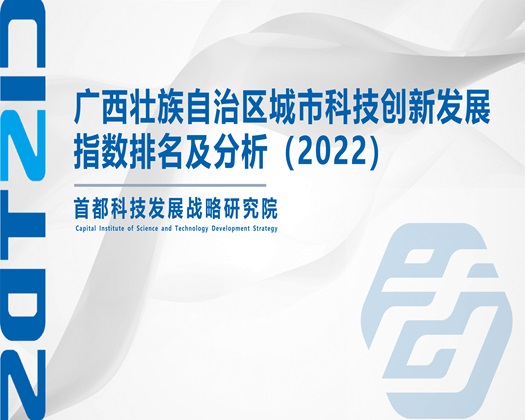 18岁嫩白的逼【成果发布】广西壮族自治区城市科技创新发展指数排名及分析（2022）